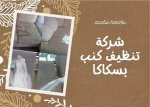 شركة تنظيف كنب بسكاكا